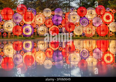 A vibrant wall of red, purple, and cream Japanese umbrellas is displayed on a wooden rack, with their colorful reflections visible in the water below. Stock Photo