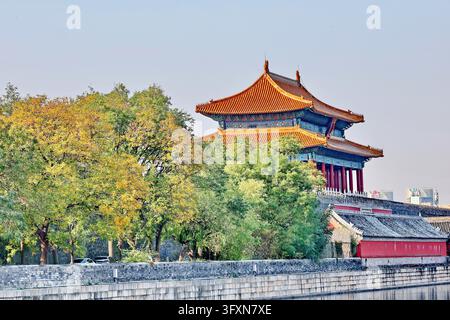 Forbidden Stop Golden ginkgo leaves frame the ancient Giant Wild Goose Pagoda at the ...
