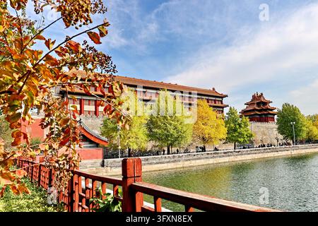 Golden ginkgo leaves frame ancient palace architecture along the moat ...