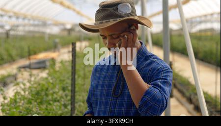 man with a hat talking on mobile phone in greenhouse at blueberry farm. Serious looking down. Stock Photo