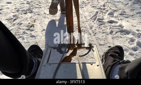 Legs of young man sitting on moving sled at winter forest on sunny day. Female feet running ahead and pulling sledge on snowy path at woodland Stock Photo