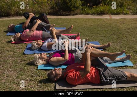 Side view of trainer training senior people in performing exercise on the back on yoga mat at park Stock Photo