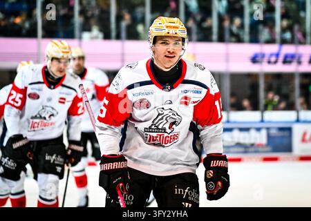 Nikolaus Heigl (Nuernberg Ice Tigers, #15) Hendrik Hane (Iserlohn ...
