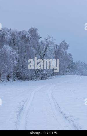 Snow covered tire tracks curving past frost laden trees across a quiet winter field in Czechia Stock Photo