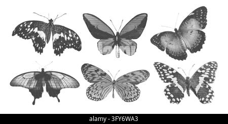 Halftone grungy butterfly with halftone dots vector illustration set. Stock Vector