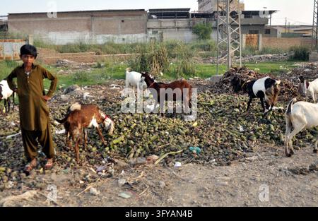 Hyderabad, Pakistan - 26-Oct-2026: Members of Zardari Ittehad staged a ...