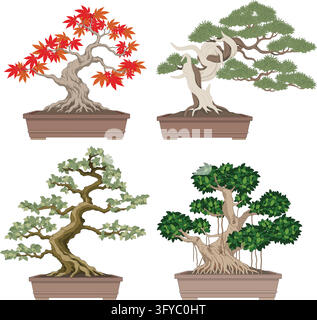 Four bonsai tree illustrations featuring maple, Chinese elm, ficus, and juniper. Stock Vector