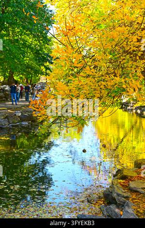 Golden ash leaves reflect on the water at Pingxiangxie in Qichun Garden ...