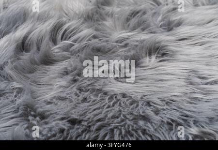 Perspective close-up texture of grey long pile faux fur carpet. Soft synthetic fur background for winter fashion, modern interior design, and cozy dec Stock Photo