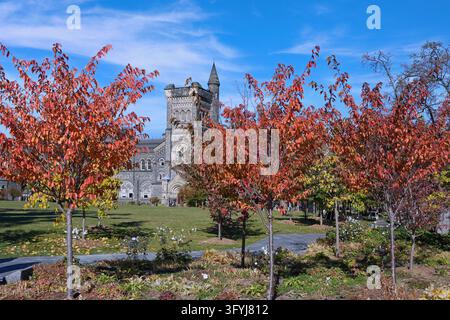Trees in brilliant fall colors surround a footpath at the University of Toronto, with the medieval style University College building in the background Stock Photo