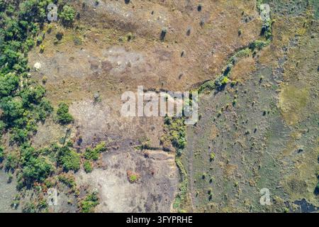 Top-down drone view showing abandoned and destroyed trench networks carved into dry barren soil. Aerial landscape of military defensive earthworks, soil erosion, and environmental impact of conflict. Stock Photo