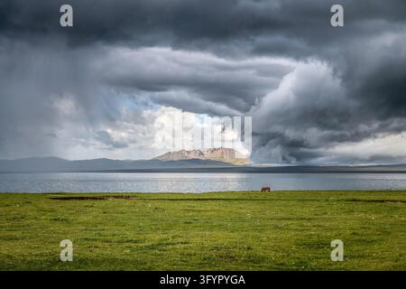 Dark storm clouds and a rain shower sweep over Song-Kul Lake and its green shore pastures, Naryn Region, Kyrgyzstan, on July 16, 2024. Stock Photo
