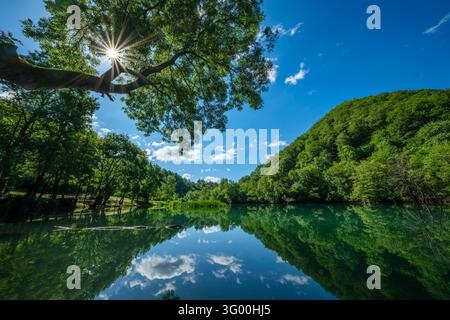 Sunlight shines through tree branches above the quiet Una river near Kulen Vakuf, reflecting green forest and clouds on the blue water. Stock Photo