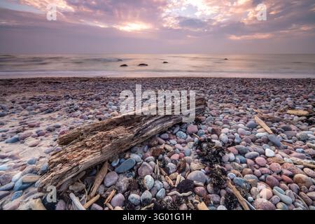 Weathered driftwood rests on a colorful pebble beach beside calm sea water under a soft pink and purple cloudy sunset sky. Stock Photo