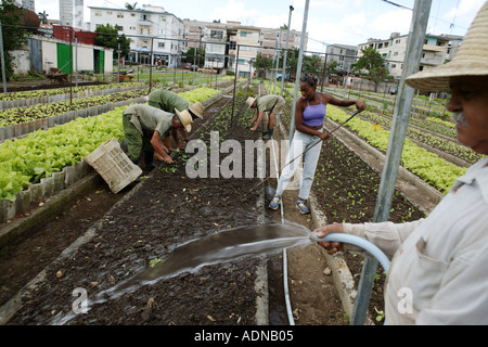 Bowery farming stock ipo