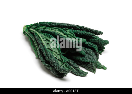Cavolo Nero an Italian cabbage on white background Stock Photo