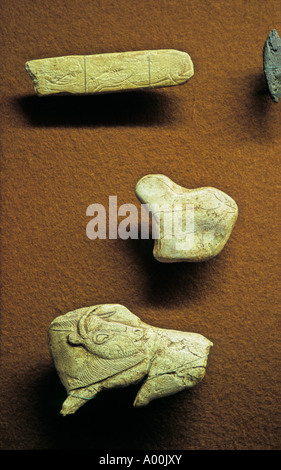 Homo sapiens, Cro-Magnon man Stock Photo - Alamy