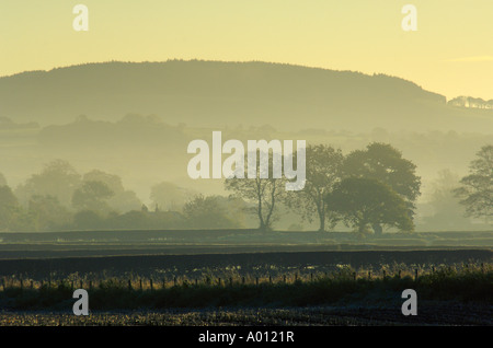 Early morning mist looking towards Beacon Fell from Churchtown near Garstang Lancashire Stock Photo