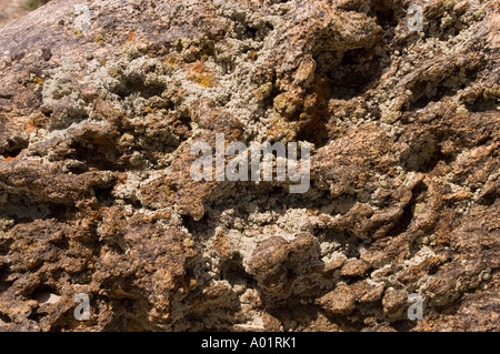 Macro view of brown rock errosion in Ladakh India, featuring weathered geological textures and rugged surface patterns. Stock Photo