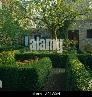 Clipped box hedges and tree in front of house in Holland Stock Photo