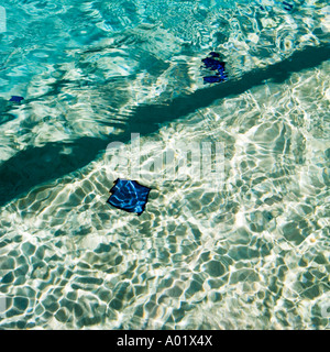 Blue water at the edge of a swimming pool Stock Photo