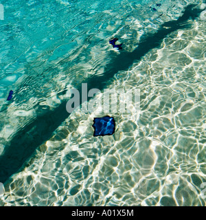 Blue water at the edge of a swimming pool Stock Photo