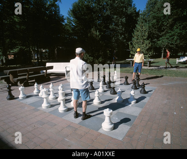 D-Bad Abbach, Danube, Bavaria, spa gardens, men playing chess Stock Photo
