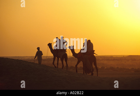 Camel Riders at Sunset, Pushkar, Thar Desert, Rajasthan, India Stock Photo
