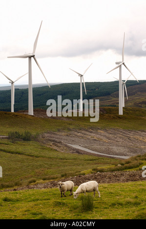 sheep grazing in front of the turbines of Cefn Croes windfarm ceredigion wales UK Stock Photo