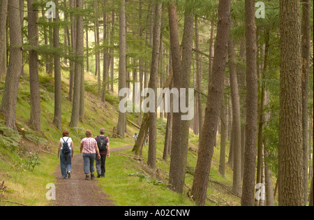 People walking along nature trail in the Elan Valley park managed by Severn Trent Water near Rhayader Powys Wales UK, springtime Stock Photo