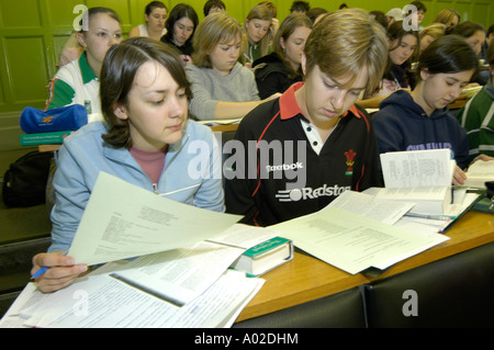 students looking at their notes in lecture at the University of Wales Aberystwyth department of Welsh language and literature UK Stock Photo