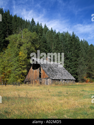 Weathered old barn on homestead in Chumstick Valley near Plain Washington Stock Photo