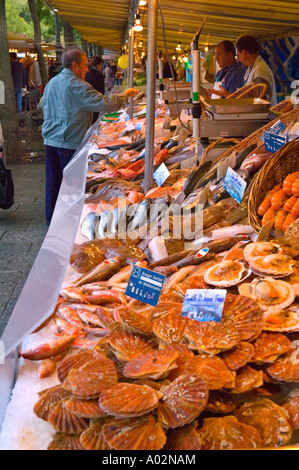 Seafood at Bastille market Paris France EU Stock Photo