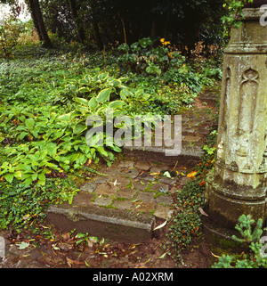 Cool green underplanting by steps in early autumn Stock Photo