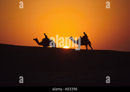 Camel Riders at Sunset, Pushkar, Thar Desert, Rajasthan, India Stock Photo