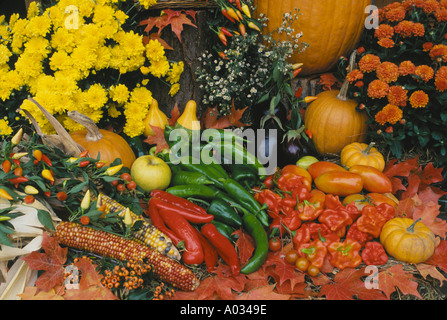 Harvest of vegetables fruit and flowers displayed on table at farmers market in Vermont Stock Photo