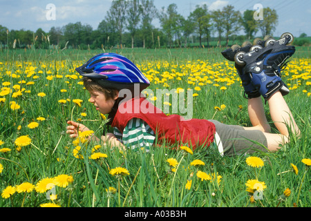 a young skater is lying in a meadow full of dandelions having a rest from skating Stock Photo