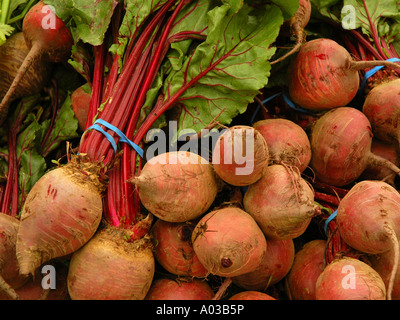 Organic beets for sale at a farmers market in southern California. Stock Photo