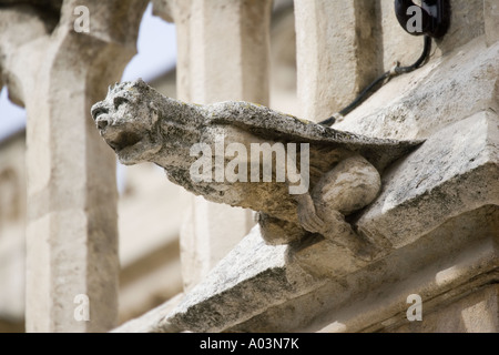 Gargoyle eroded by acid rain Burgos cathedral Spain Stock Photo