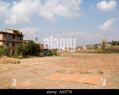 RICE PADDY FIELDS after harvest Khokana Kathmandu Valley Nepal Asia Stock Photo