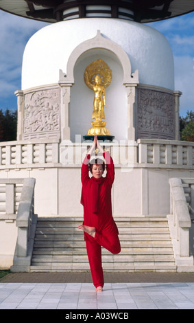 PICTURE CREDIT DOUG BLANE Carol Smith Yoga Teacher doing Ardha Padma Padottanasana Tree pose in Lotus in front of the Milton Key Stock Photo