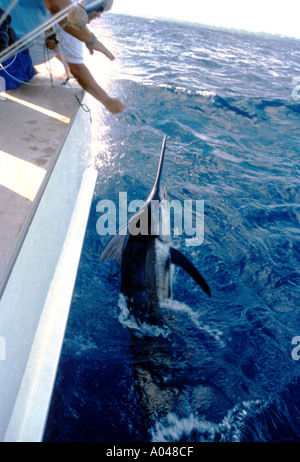 Deep sea fishing in the Caribbean Stock Photo