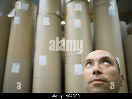 Paper rolls stacked in warehouse Stock Photo - Alamy