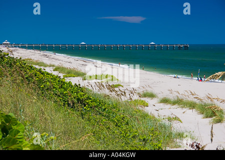 Juno Beach Pier Juno Beach one of the most productive sea turtle nesting sites in the world Florida Atlantic Ocean Stock Photo