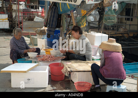 dh Chinese women Fish market ABERDEEN HONG KONG Grading fresh seafood prawns hk traditional people china elderly workers Stock Photo