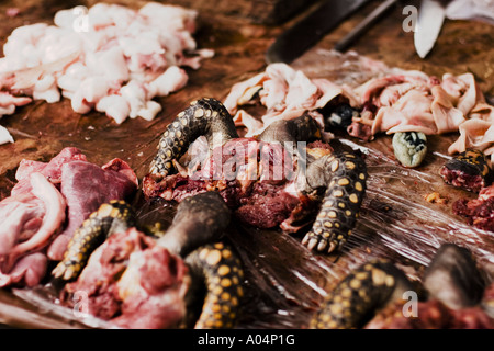 Butchered turtles for sale in the Belen market in Iquitos, one of Peru's gateways to the Amazon river. Stock Photo