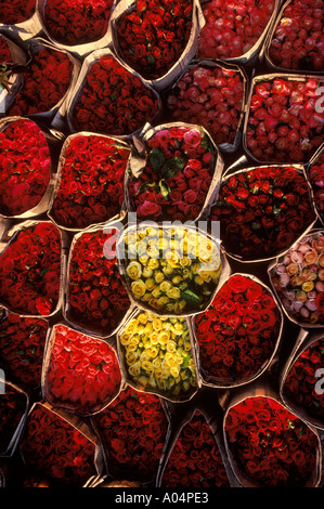 Red and yellow roses for sale flower market Bangkok Thailand HOMER SYKES Stock Photo