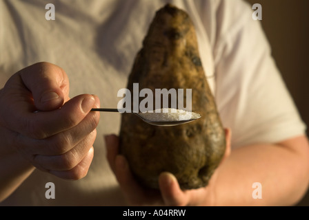 THE CAMPAIGN AT BRITISH SUGAR PRODUCTION PLANT AT WISSINGTON NORFOLK ENGLAND WHERE SUGAR BEET IS PROCESSED INTO SUGAR A SPOONFUL Stock Photo