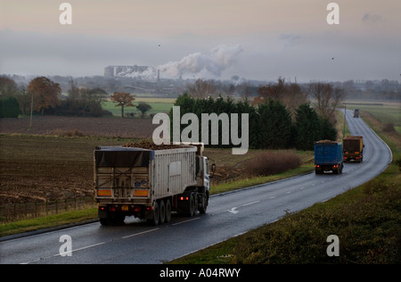 THE CAMPAIGN AT BRITISH SUGAR PRODUCTION PLANT AT WISSINGTON NORFOLK ENGLAND WHERE SUGAR BEET IS PROCESSED INTO SUGAR, DELIVERY Stock Photo