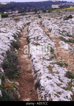 Malta cart-ruts at 'Clapham Junction', near Dingli, hundreds of ...